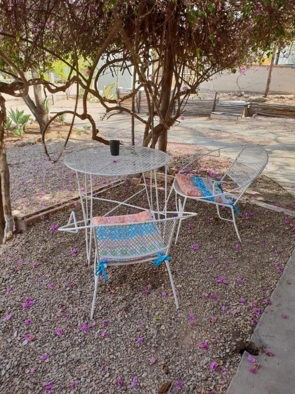 Oasis Shanti Backpackers Oudtshoorn Luaran gambar